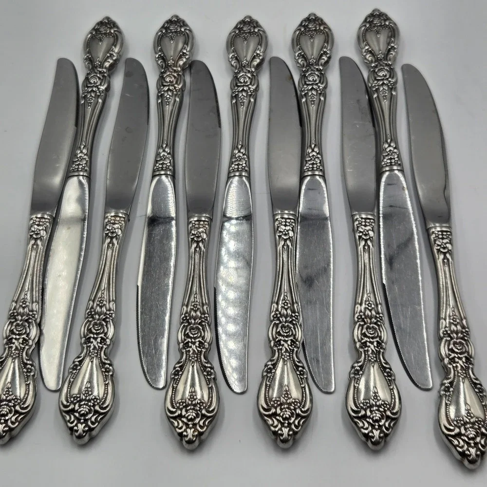 Vtg Oneida USA Wordsworth Brahms Flatware Rose Daisy Spring‎ 11 Dinner Knives